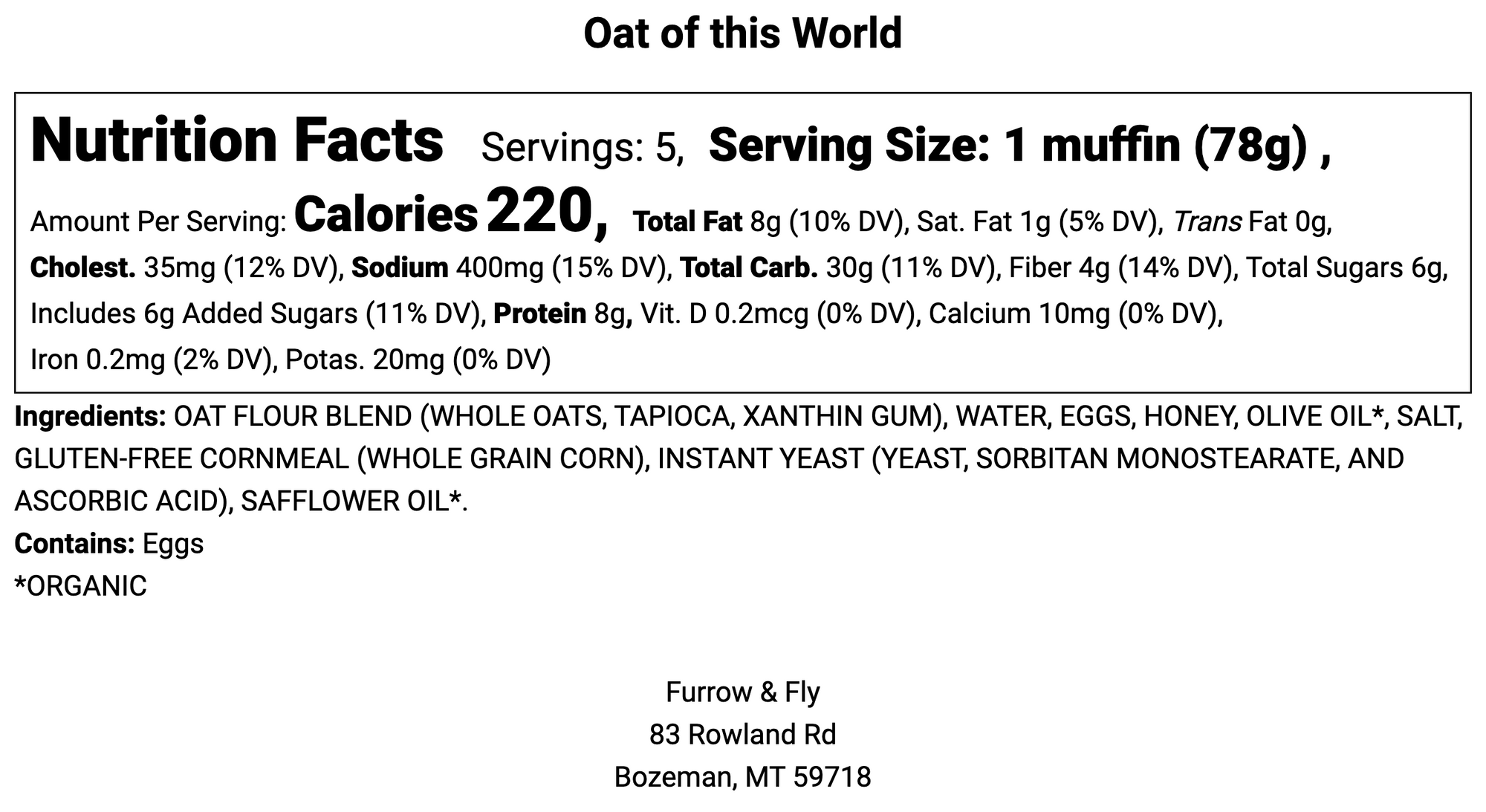 Oat of This World (Gluten-Free)